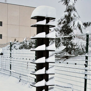 snow-covered-solaris